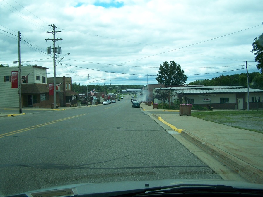 Lincoln, MI: Main strip of stores from the top of the hill