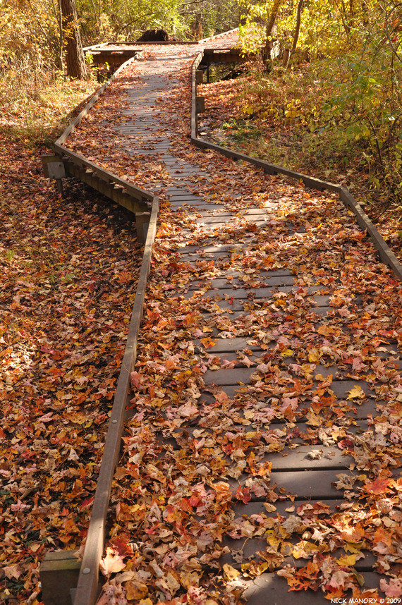Newton, MA Walkway at dolan pond photo, picture, image (Massachusetts