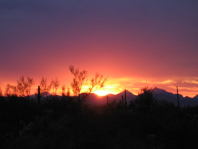 Picture Rocks, AZ: sunset along Sandario between Manville and Rudasille