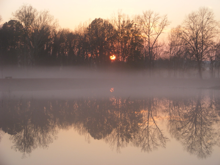North Augusta, SC: foggy sunset at the brickyard ponds