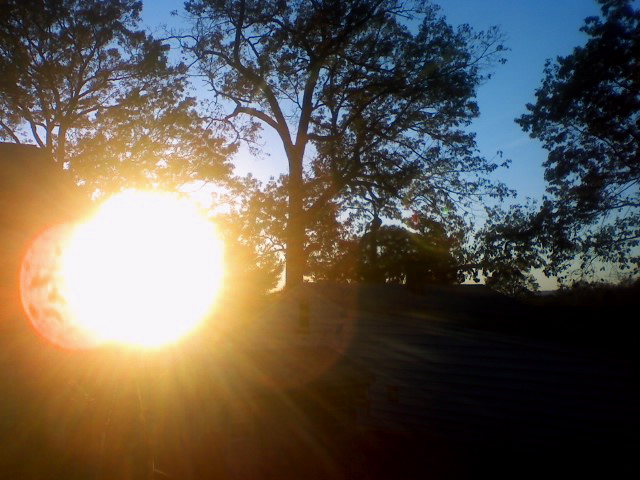 Hasbrouck Heights, NJ: the afternoon, from my backyard