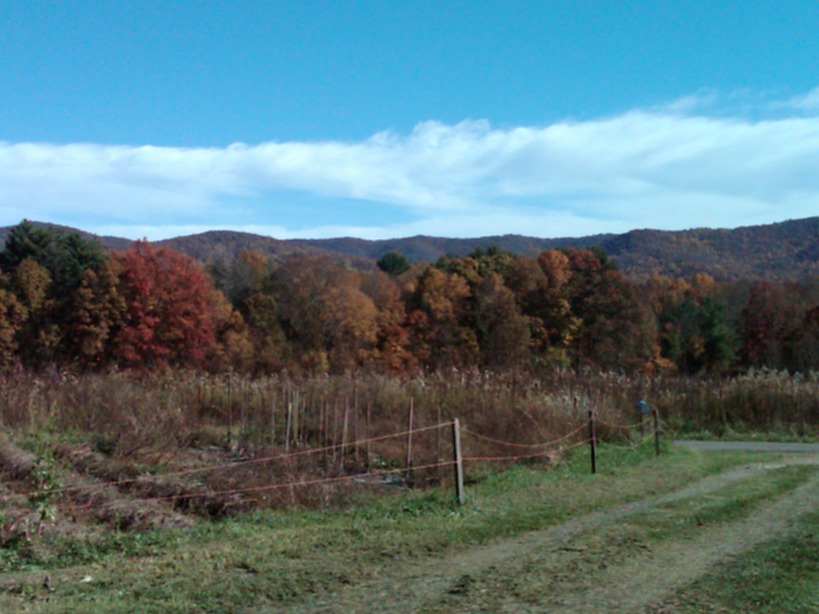 Shady Valley, TN: view from my sisters house this past fall