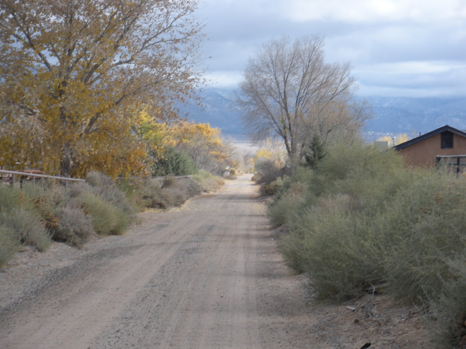 Corrales, NM Looking down the road in Corrales photo, picture, image
