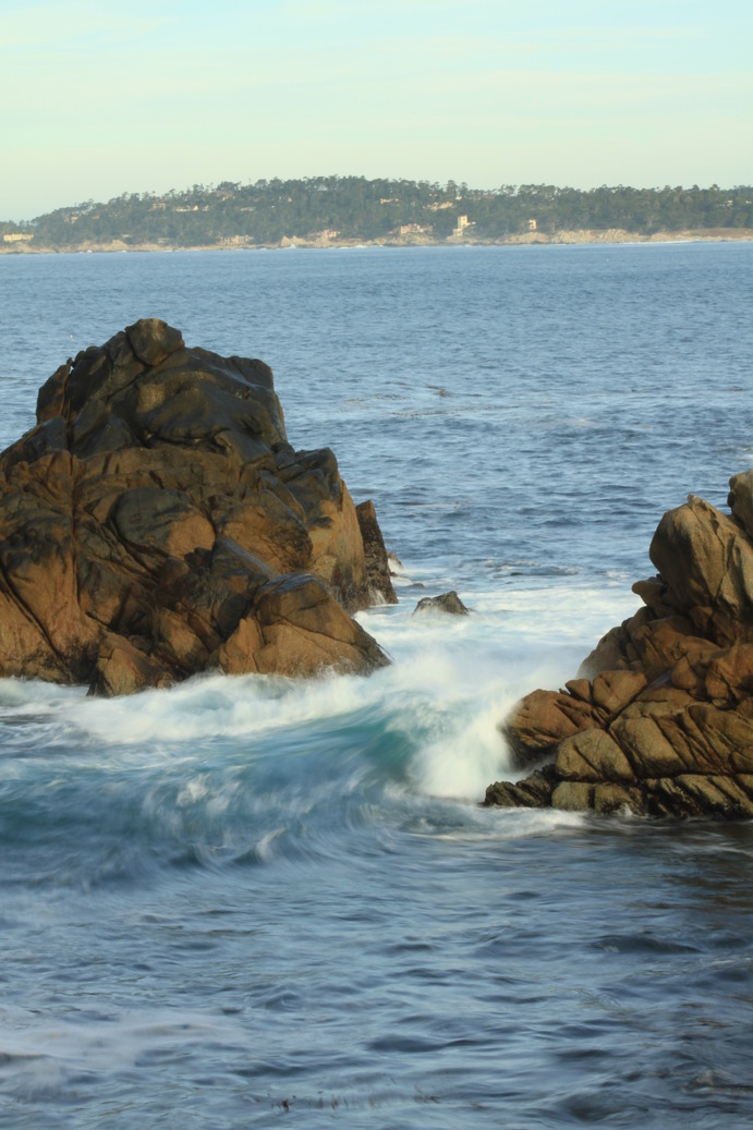 Carmel, CA: Point Lobos - Whalers Cove