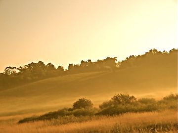 Kiel, WI: Morning Fog in St. Anna