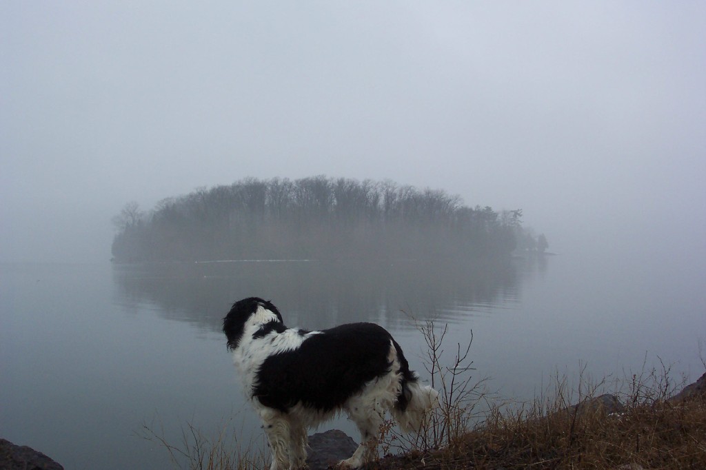 Colchester, VT: Looking at Baxter, looking at Law Island off the Causeway