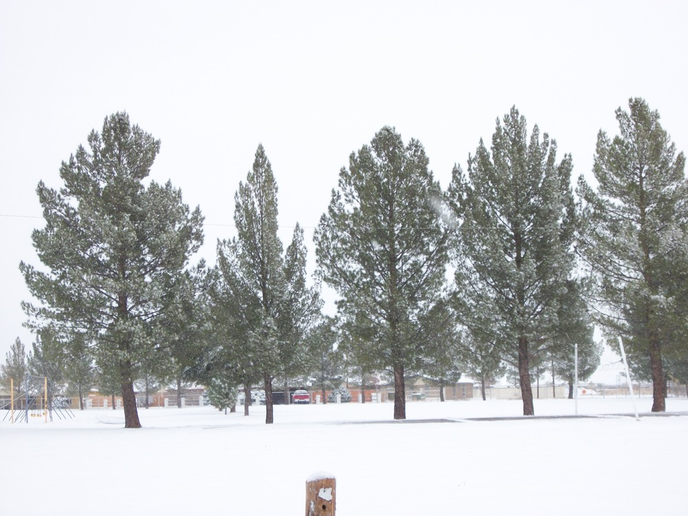 Pecos, TX: Maxey Park covered in snow, 12-2009