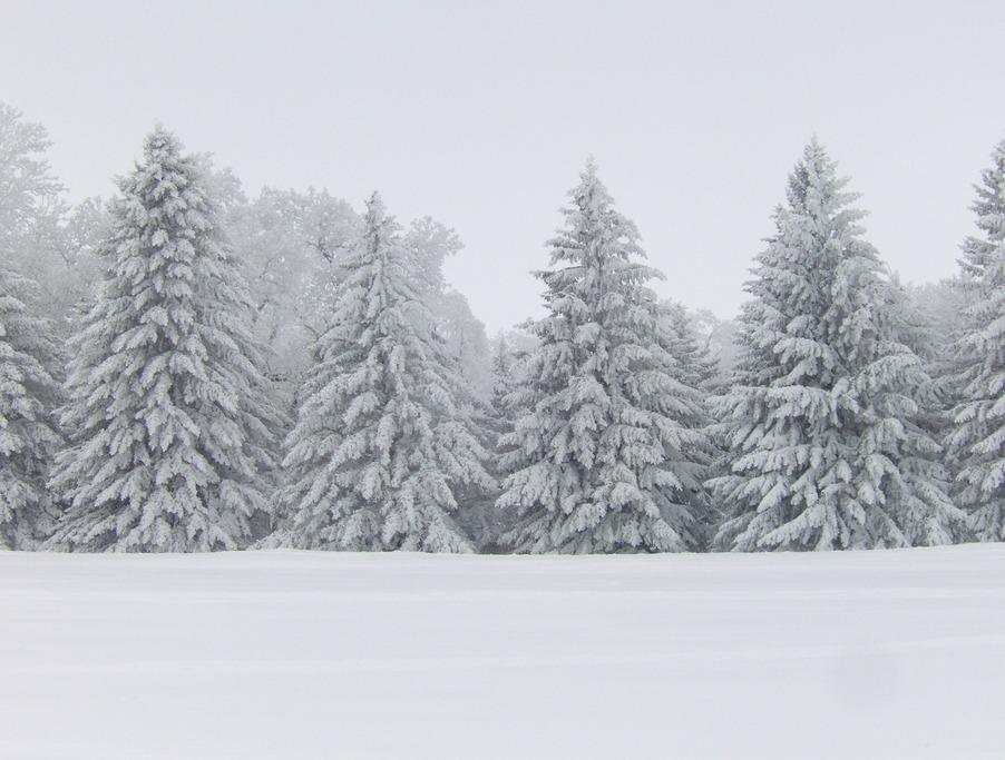 Lake Benton, MN : Hill at Hole in the Mountain December 09 photo ...