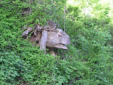 Nickelsville, VA: turtle rock