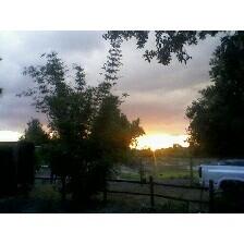 Arcadia, FL: Back yard sunset! Pine level, Arcadia!
