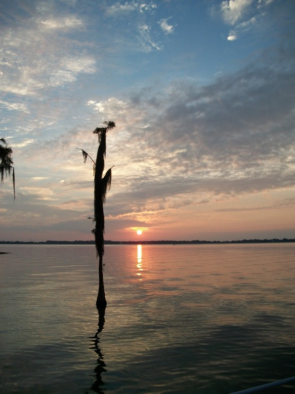 Windermere, FL: sunset on lake Butler