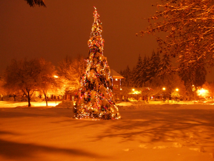 Tumwater, WA: Tumwater City Hall