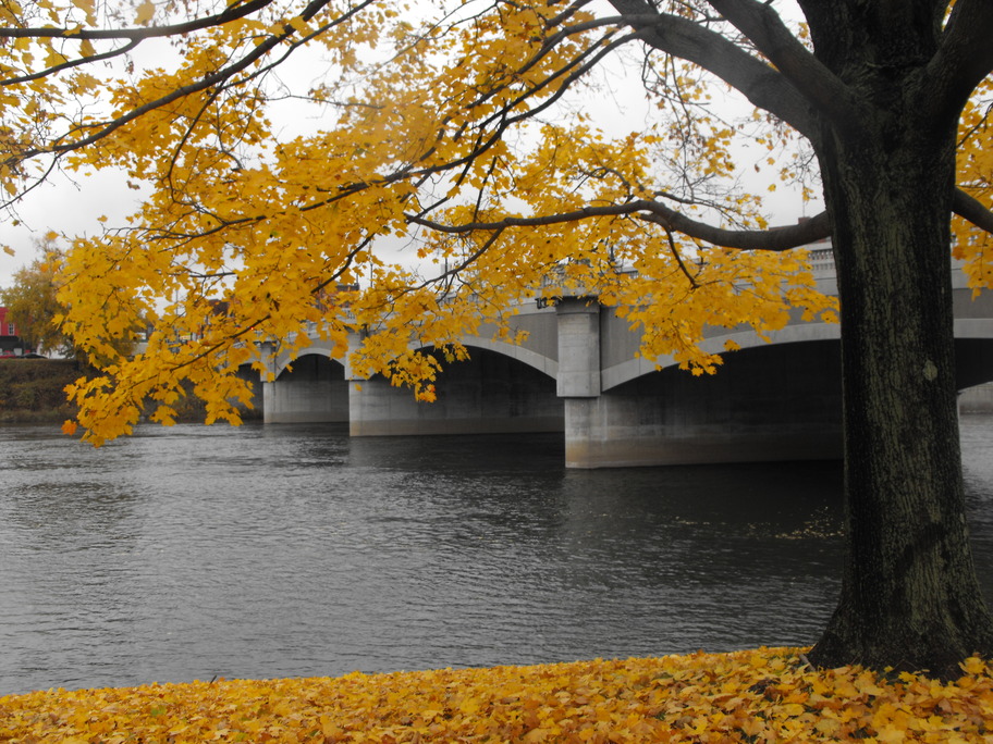 Warren, PA: Autumn at Three Flags View of Hickory St. Bridge