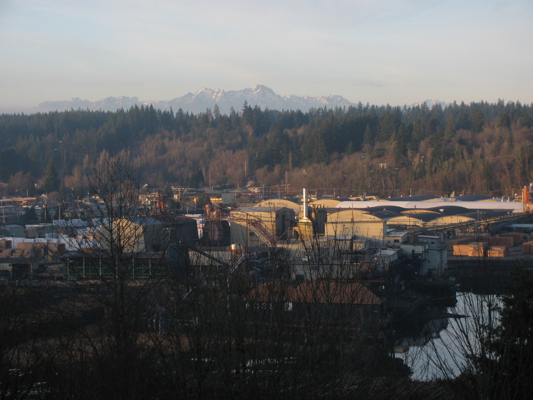 Shelton, WA : looking out over shelton photo, picture, image