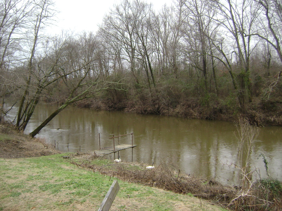 Stony Creek, VA: Nottoway River from our back yard in Stony Creek, VA