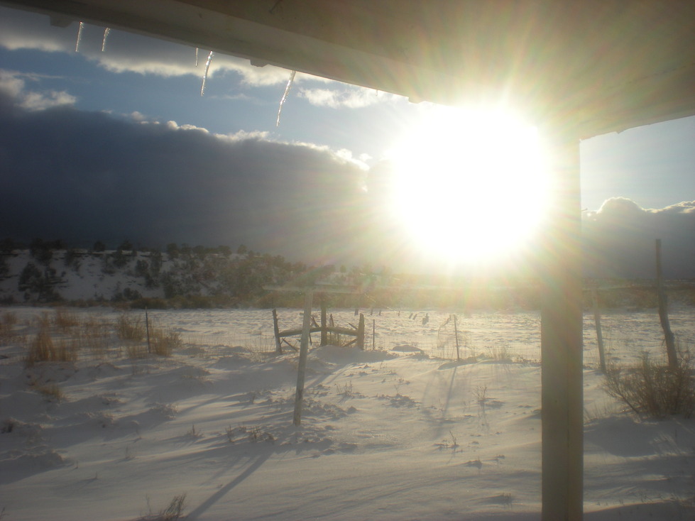 Cortez, CO: After a SnowStorm~ facing toward the sunshine& the ute mountain