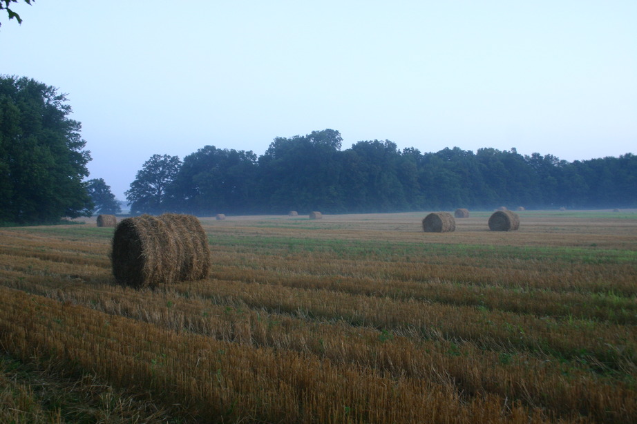 Centerburg, OH: Round Bales