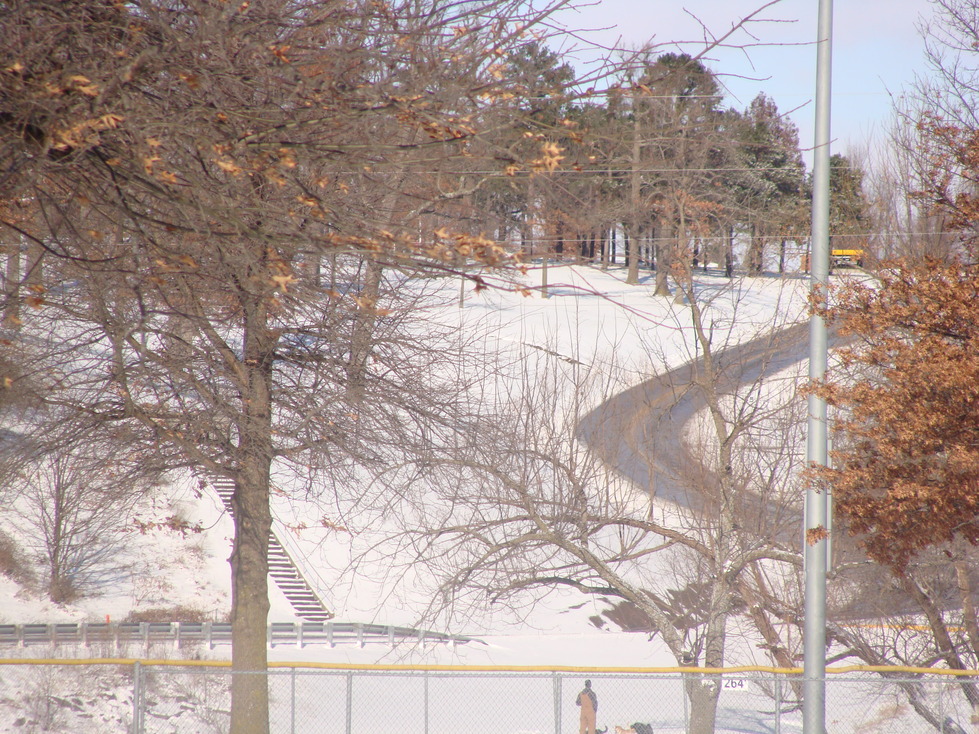 Mount Vernon, MO: shot of "the hill" from Spirit of '76 park after our first big snow fall of 2009