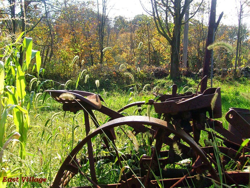 Shelton, CT East Village Road Fall 2009 photo, picture, image