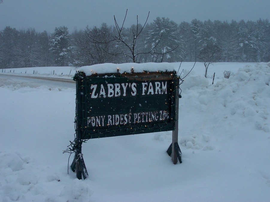Waldoboro, ME: Zabbys Farm