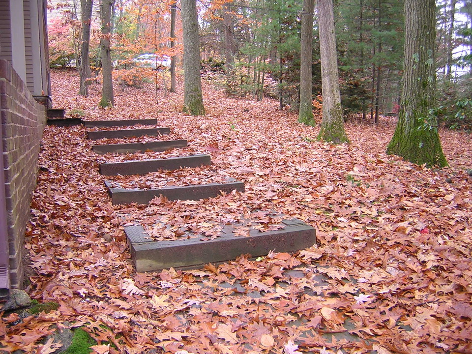 Glastonbury, CT: Dripping in Leaves | South Glastonbury | My Front Steps