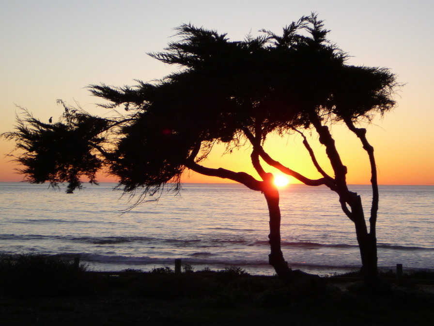 Cambria, CA: Cambria in January