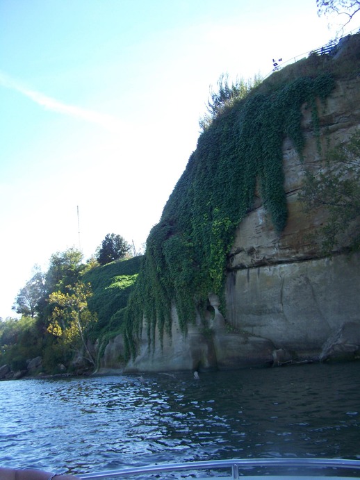 Rockport, IN: The bluff in Rockport from river view