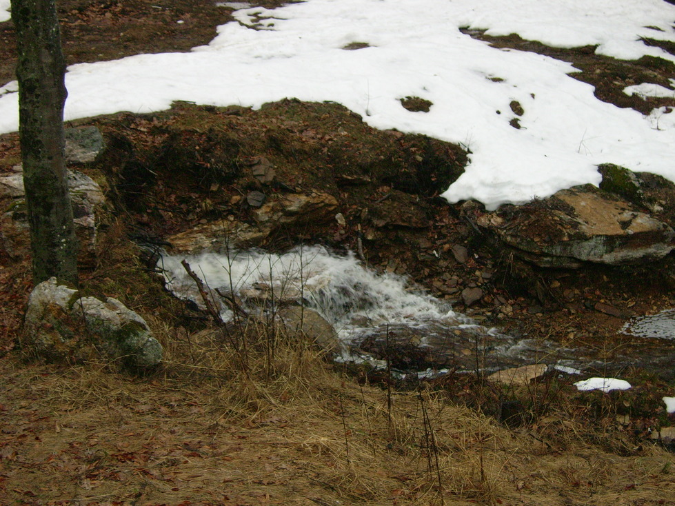 Bowdoin, ME: brook in backyard