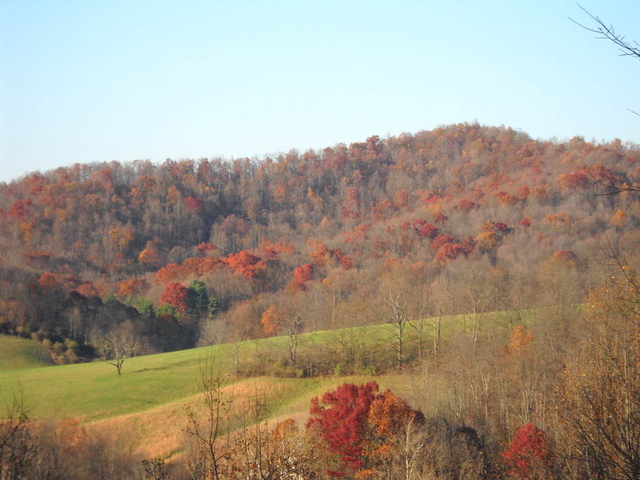 Mannington, WV: Taken from up on our hill in Sunshine