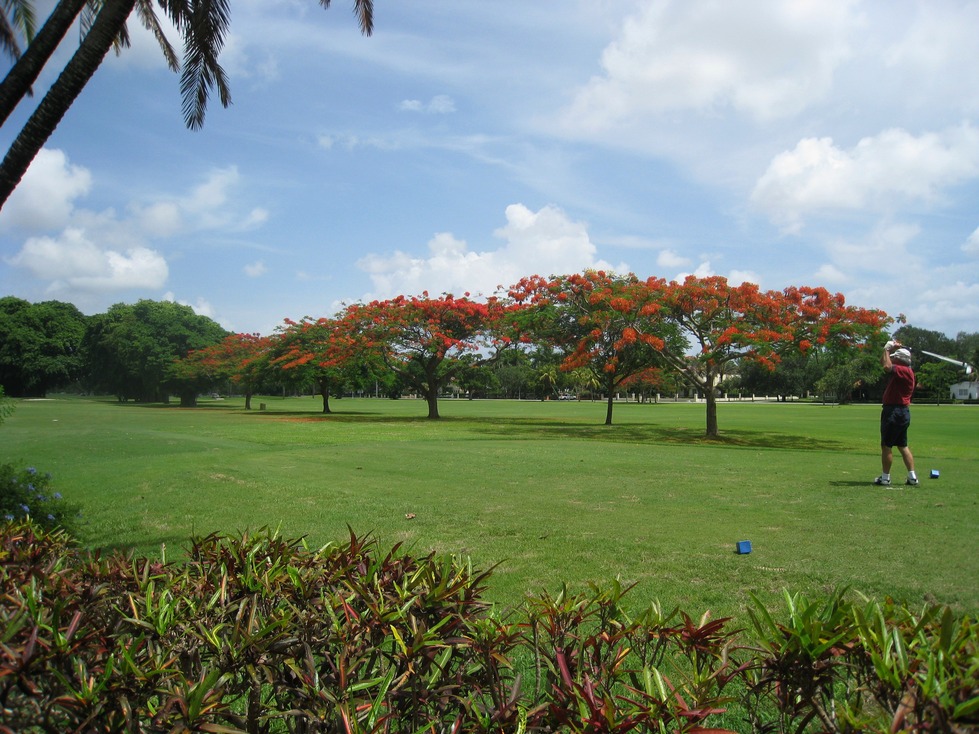 Coral Gables, FL: Granada Golf Course