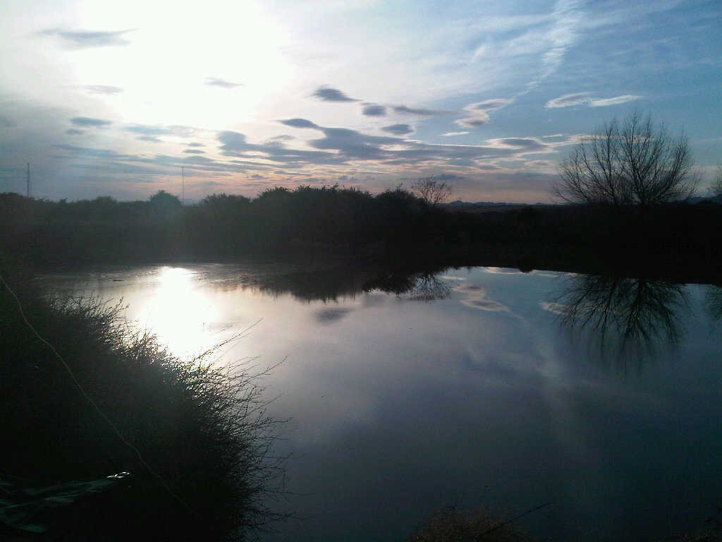 Gila River, AZ: Pond at the Sacaton Farms