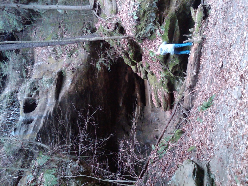 Lexington, TN: do u know where this cave is?