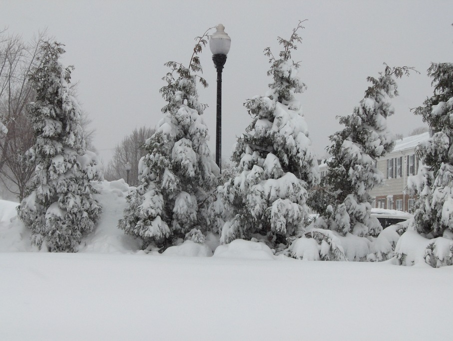 Essex, MD: Winter Snow Storm