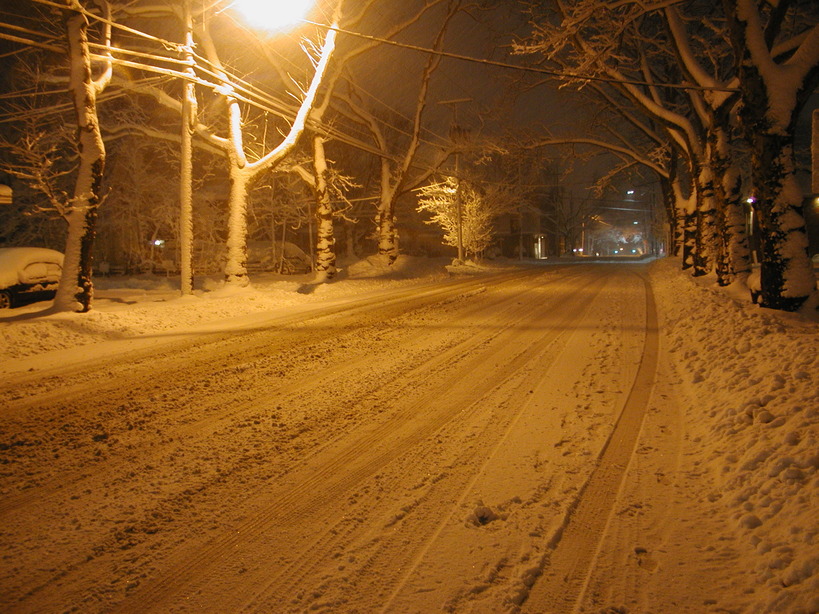 Rutherford, NJ: Rutherford, Park Ave. NJ, - Feb.11, 2010