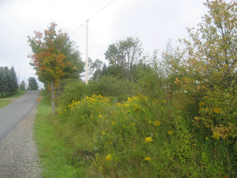 Smyrna, NY: QUITE BEAVERS ROAD SMYRNA NY