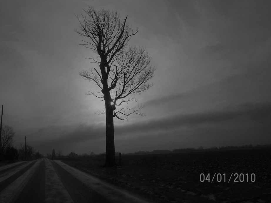Jamestown, OH: I took this picture on January 4th 2010 on Old 35 Hwy in Jamestown, Ohio