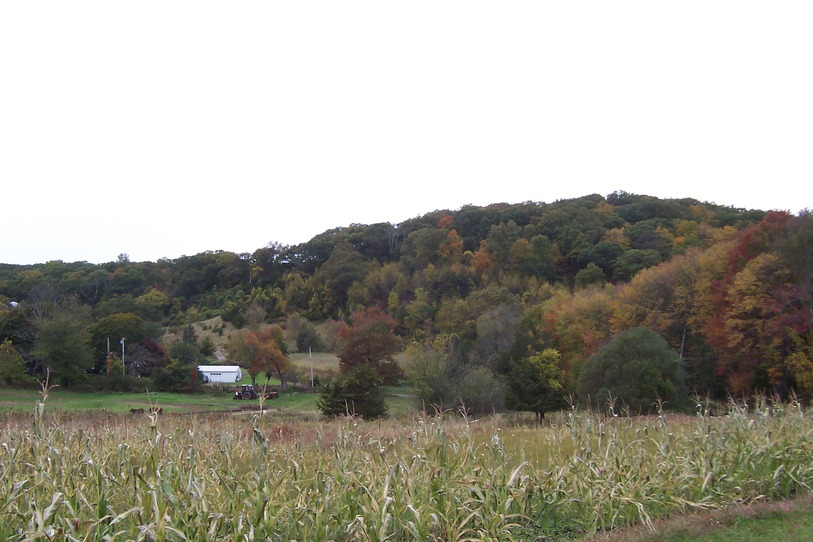Newtown, CT: Hillside in Autumn