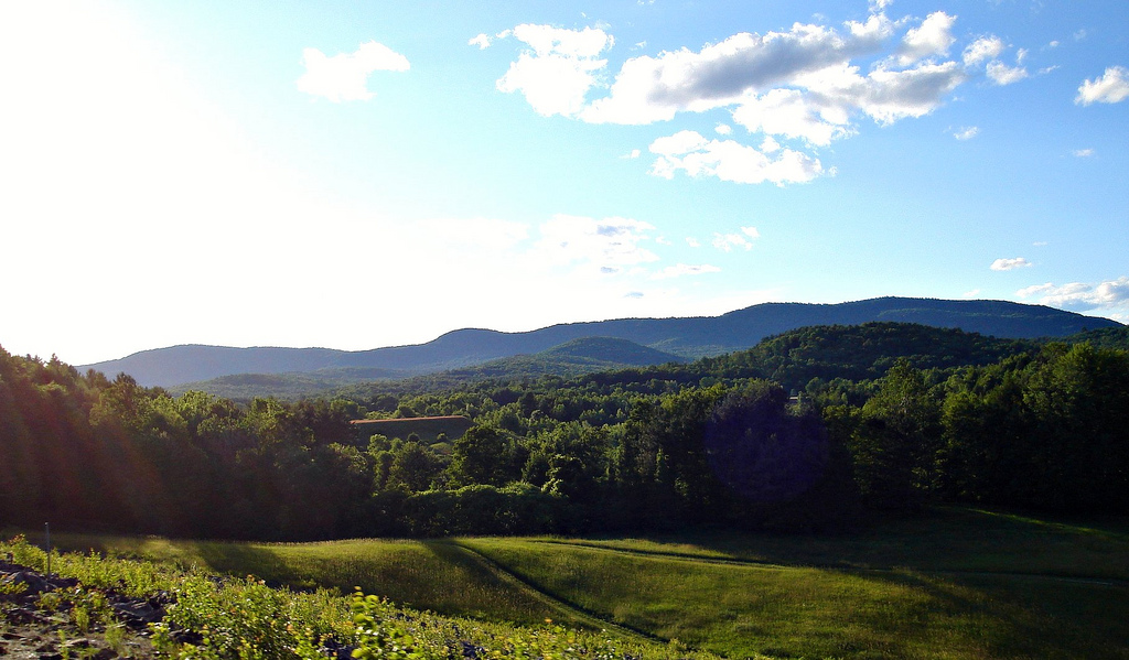 Weathersfield, VT: This picture was taken by me during the summer of 2008. Springweather is my favorite place to go for walks. I have been going there since I was a small child.