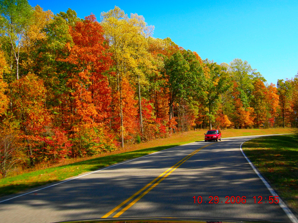 Fairview, TN: Natchez Trace - Fairview, Tennessee