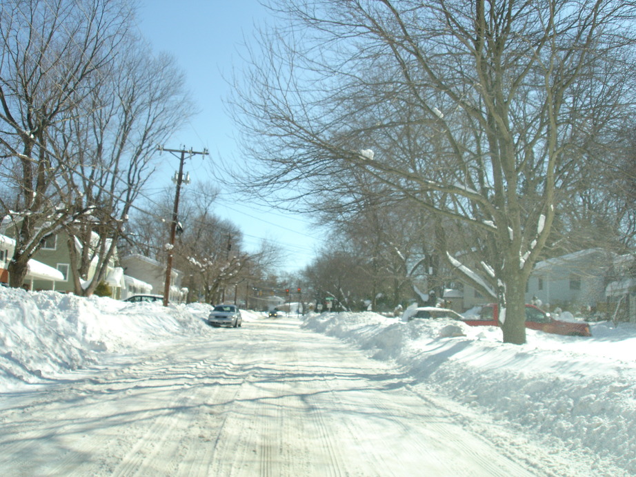 Vienna, VA: A snow-covered street in Vienna, VA - The storm of February 2010... Cold and beautiful!