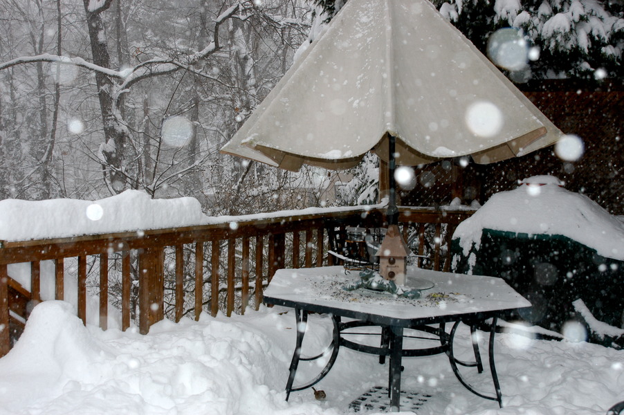 Vienna, VA: "Snowflakes on my deck." The December 2009 snowstorm in Vienna...