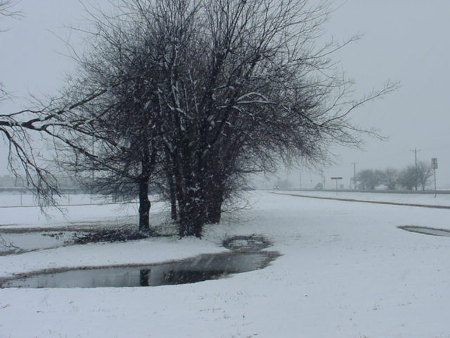 Lone Oak, TX: Snow of 2010