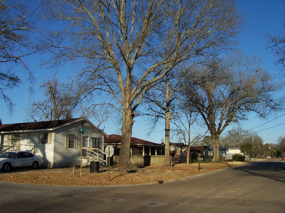 Chickasaw, AL: The corner of Hopi St and Third Ave in March 2010