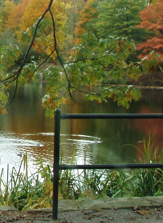 Newton, MA: Bullough's Pond in the autom