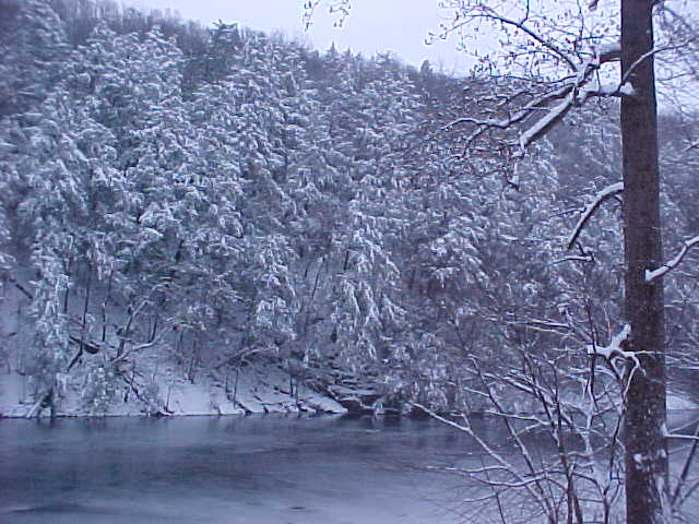Saugerties, NY: Upper Esopus Creek Winter 2009/2010