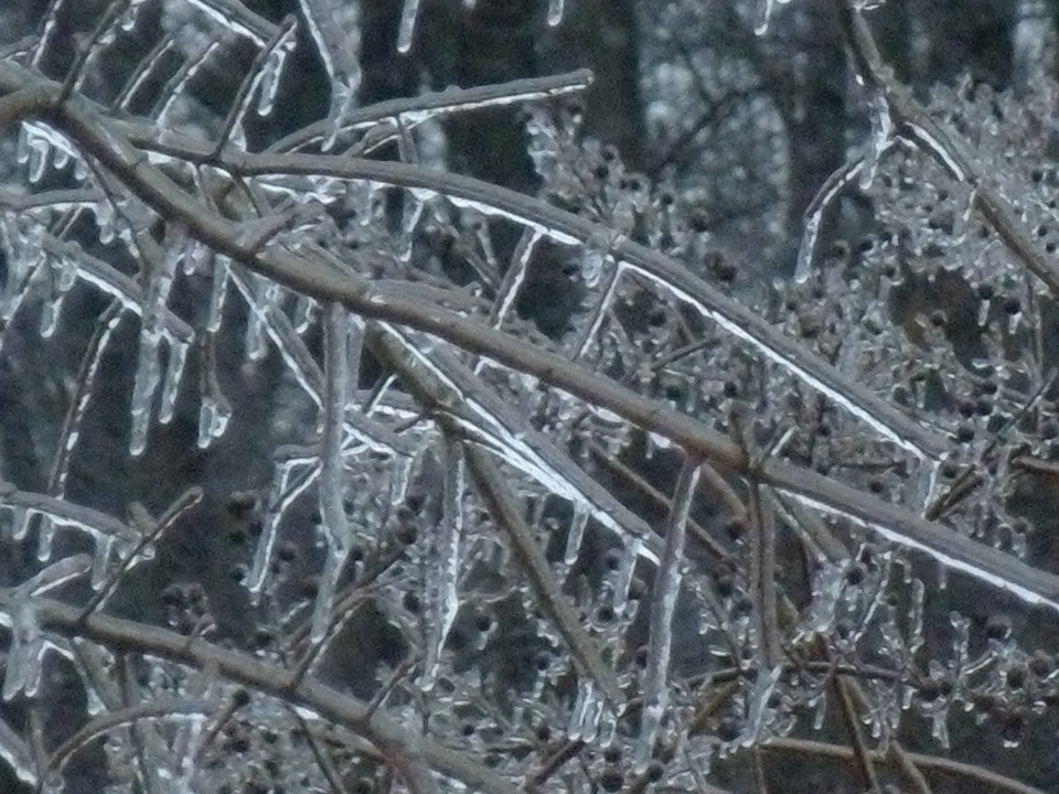 Olive Branch, MS: 2010 Ice Storm in Olive Branch, MS