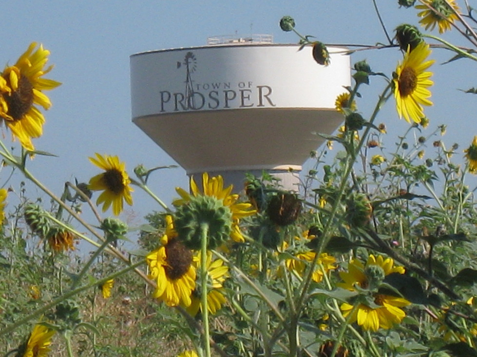 Prosper, TX: Prosper water tower in the summer time