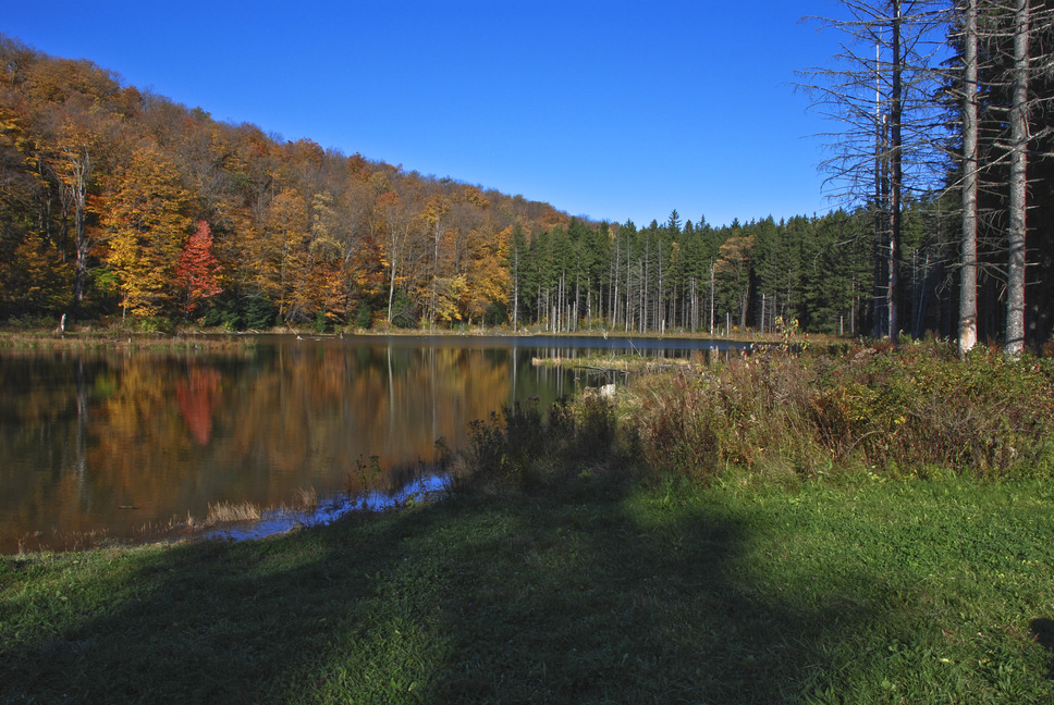 Fabius, NY: Spruce Pond in the early fallTown of Fabius