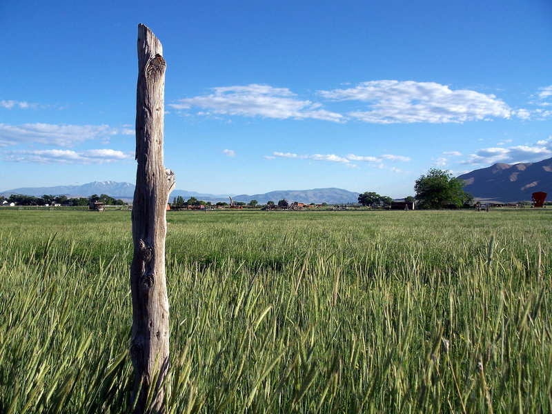 Genola, UT: Just one of many fence posts in the Genola-we are, afterall, a fairly rural area, and the easiest way to mark a property line is with a fence post.