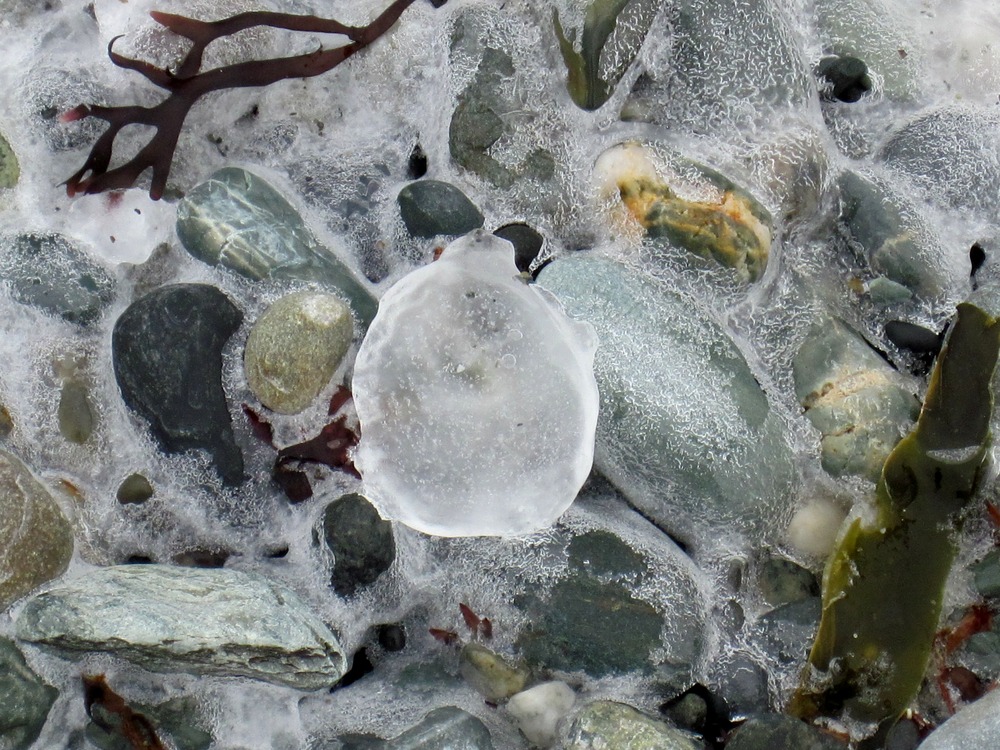 Newport, RI: Brenton Point State Park - Frozen in Time February 2010